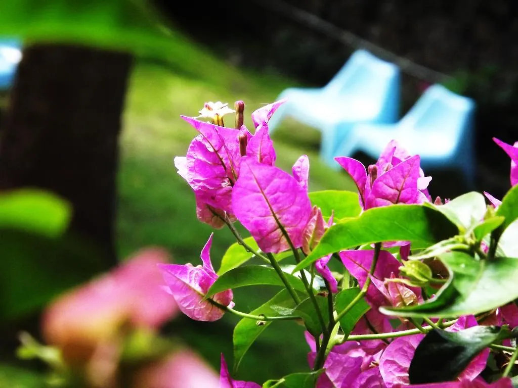 Palazzo Da Passano Bed & Breakfast Levanto